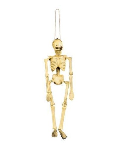 Skeleton (40 cm) - high quality, ideal for carnival, themed parties, and special events
